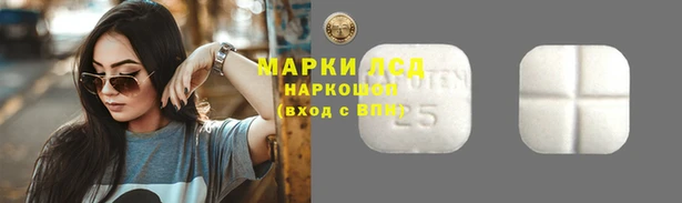 стаф Михайлов