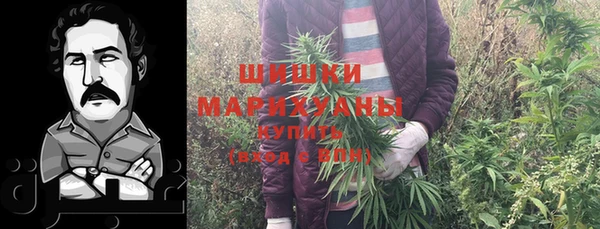 стаф Михайлов