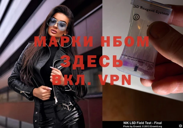 стаф Михайлов