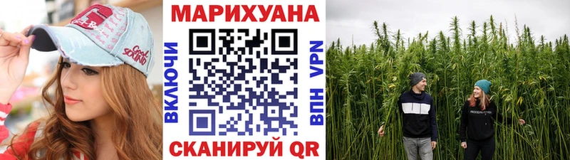Марихуана сатива  Звенигово 